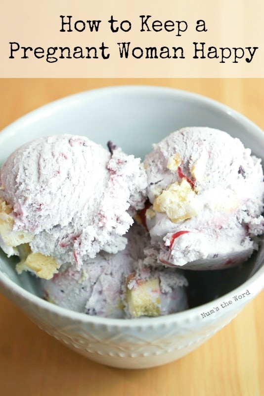 How to Keep a Pregnant Woman Happy - Bowl of You Betcha Berry Ice Cream as main image for post