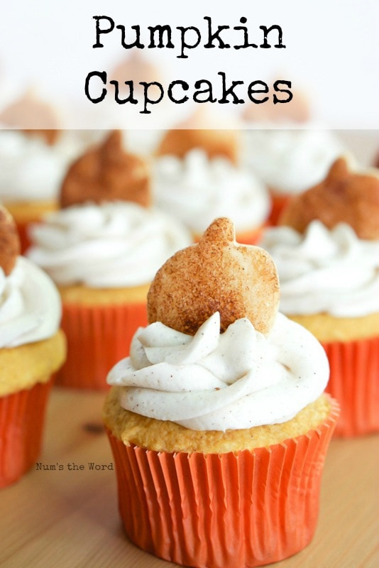 Pumpkin Cupcakes - main image for recipe