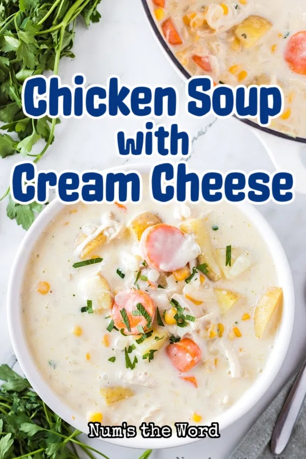 Main image for Chicken Soup with Cream Cheese