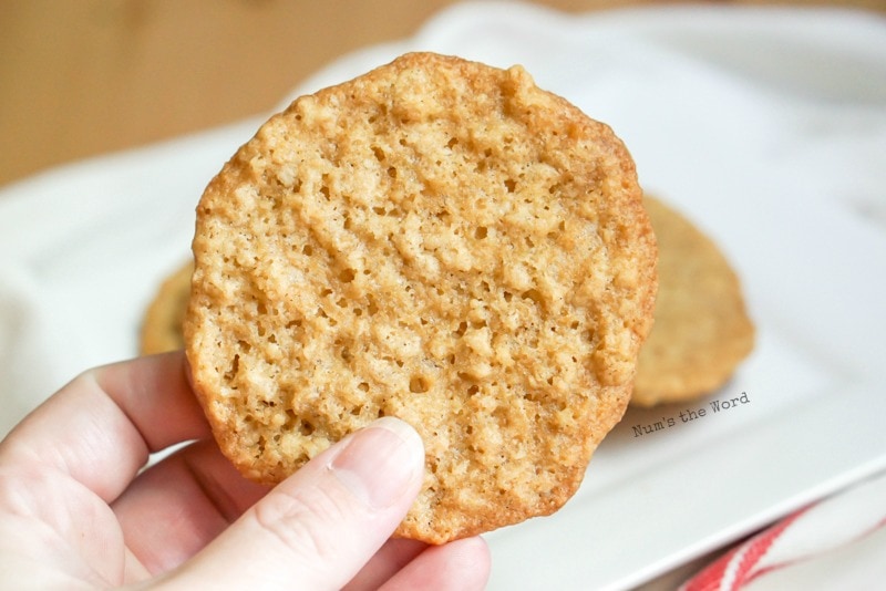 Chewy Oatmeal Lace Cookies - single cookie held up in hand to show size and lace pattern