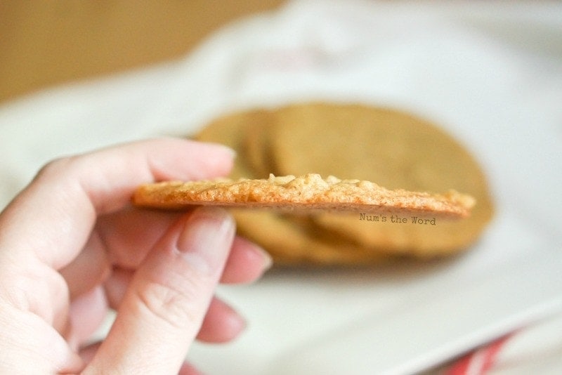 Chewy Oatmeal Lace Cookies - single cookie held up on it's size to show how thin it is.