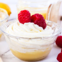 a single serving size bowl with lemon curd topped with lemon mousse and raspberries