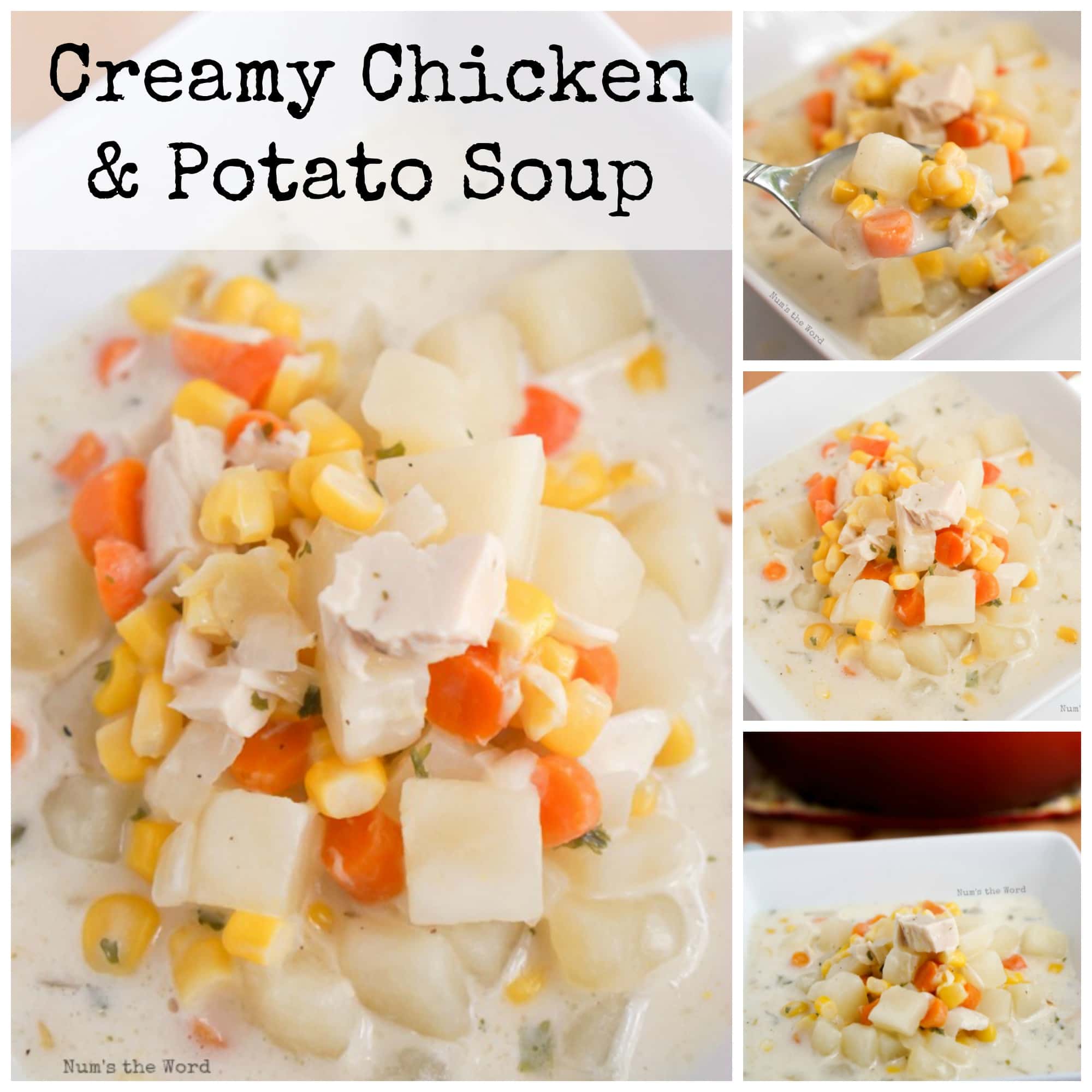 Chicken Soup with Cream Cheese - Num's the Word