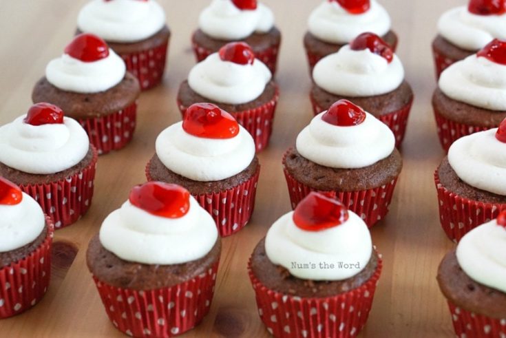 Black Forest Cupcakes - Finished cupcakes lined up, down side angle