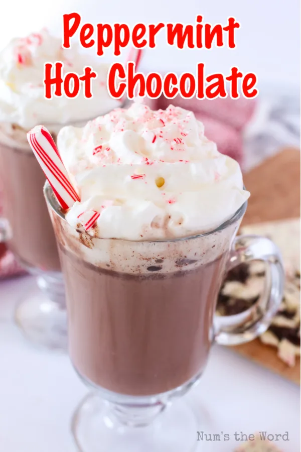 Peppermint Hot Chocolate Recipe - Rockin Mama™