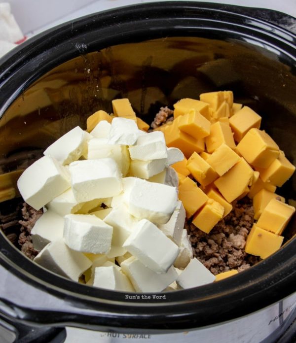 Crock Pot Mexican Sausage Dip Num's the Word