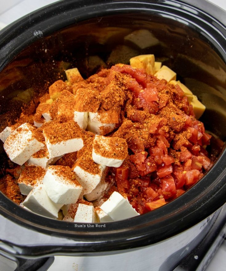 Crock Pot Mexican Sausage Dip Num's the Word