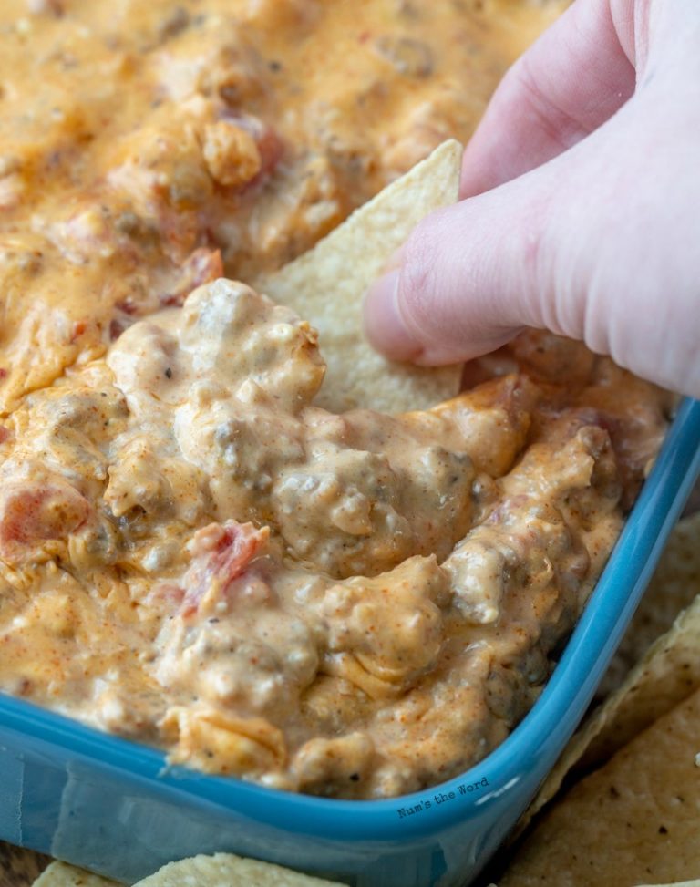 Crock Pot Mexican Sausage Dip Num's the Word