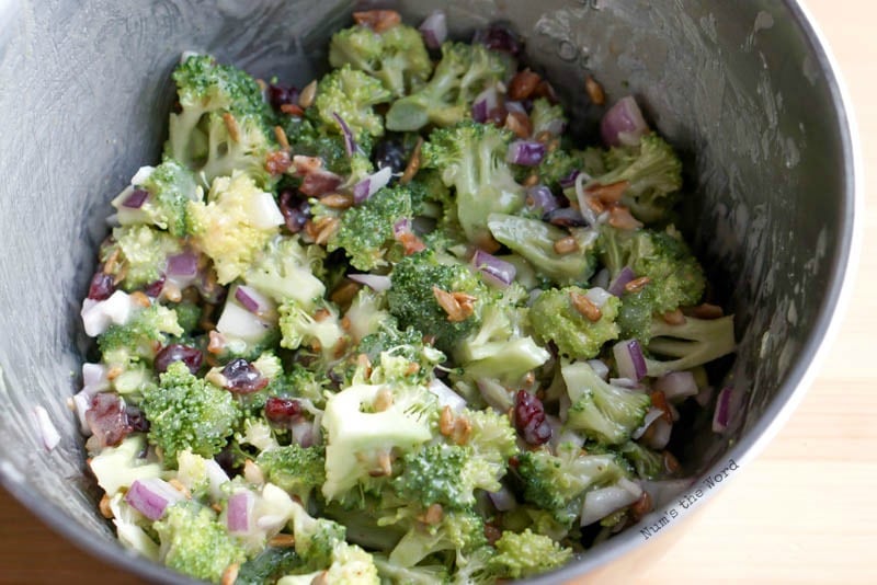 Broccoli Salad Num's the Word