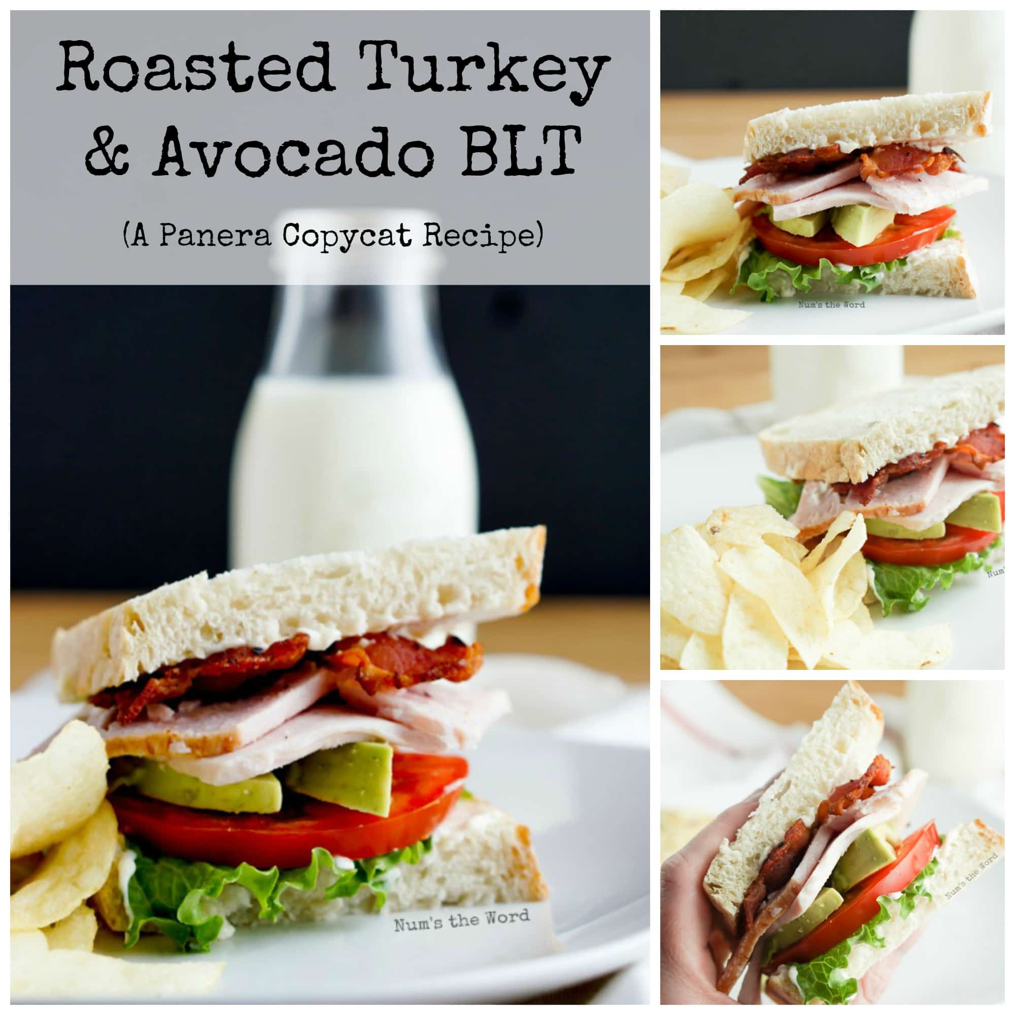 roasted-turkey-and-avocado-blt-num-s-the-word