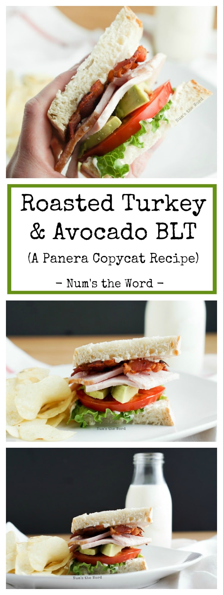 roasted-turkey-avocado-blt-num-s-the-word