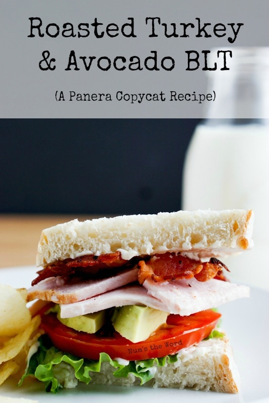 Roasted Turkey & Avocado BLT - Main image for recipe of sandwich on plate with glass of milk in background