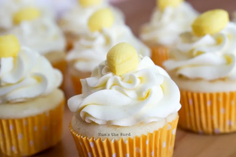 Lemon Lover's Cupcakes - finished cupcakes ready to be eaten!
