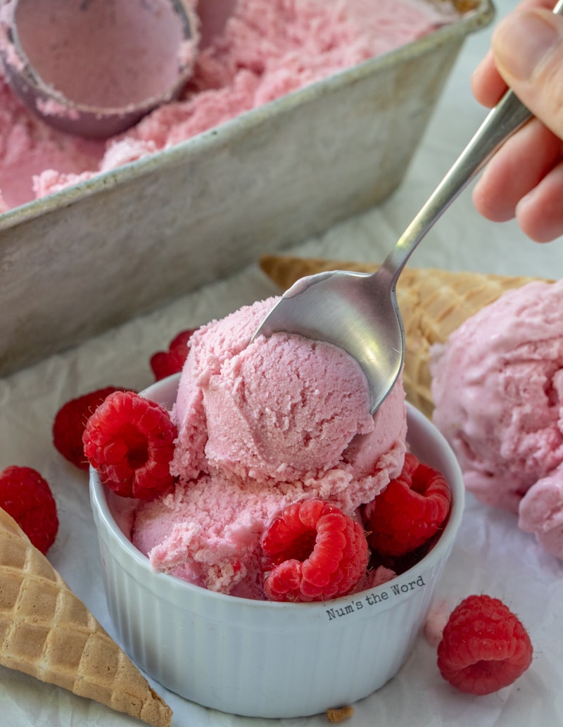 Homemade Raspberry Ice Cream Recipe Nums The Word 7417