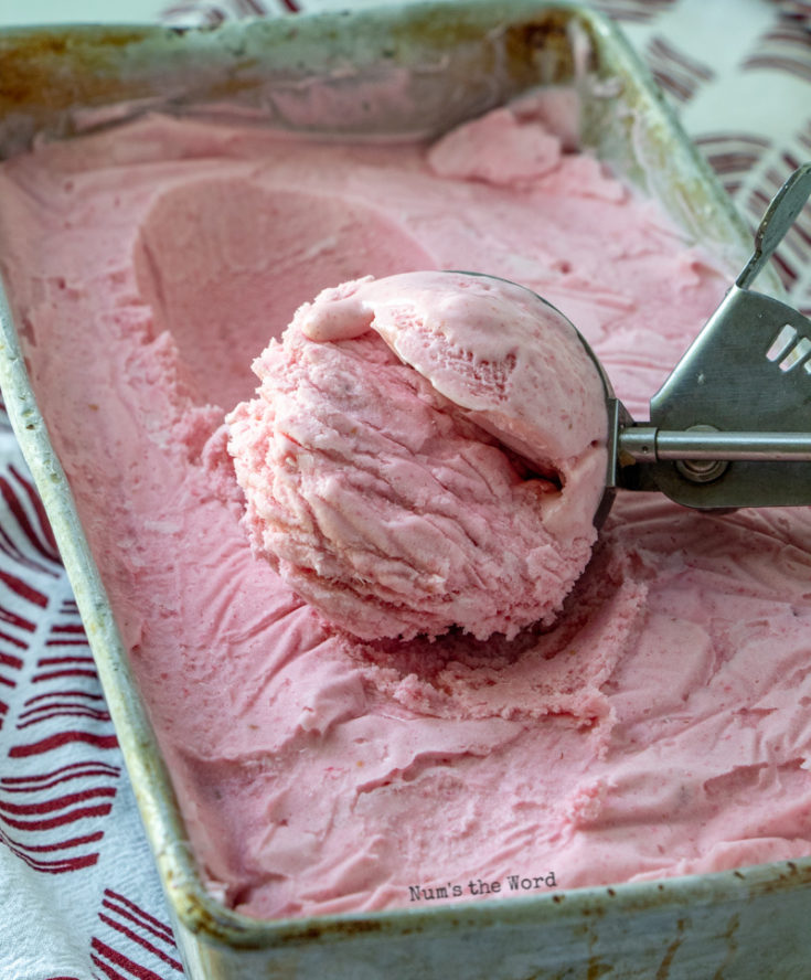 Homemade Raspberry Ice Cream Recipe - Num's the Word