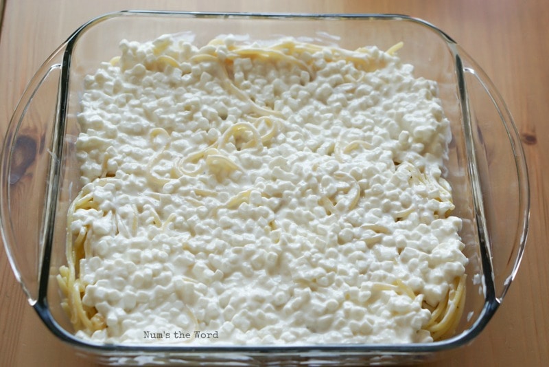 Spaghetti Casserole - Cottage cheese on top of spaghetti. Ricotta can be used instead too!