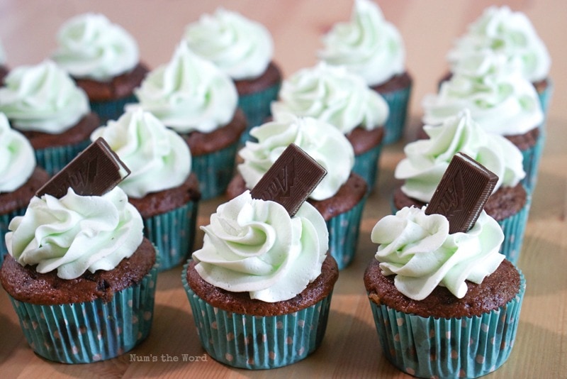 Andes Mint Cupcakes - freshly frosted cupcakes with 3 that have Andes Mints in them.