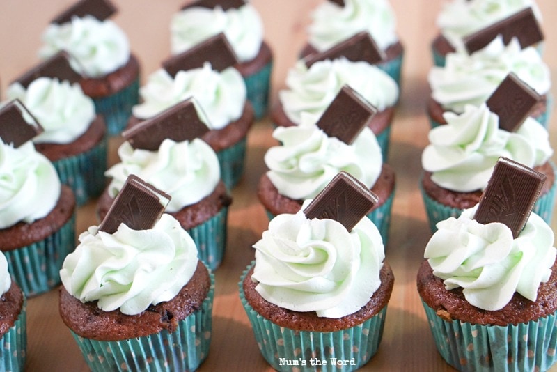 Andes Mint Cupcakes - All cupcakes are frosted and have Andes Mints sticking out.