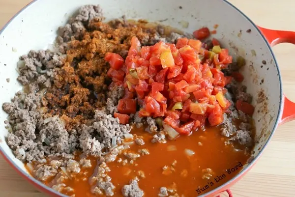 Mexican Sloppy Joes - taco seasoning, diced tomatoes, and enchilada sauce added to ground beef.