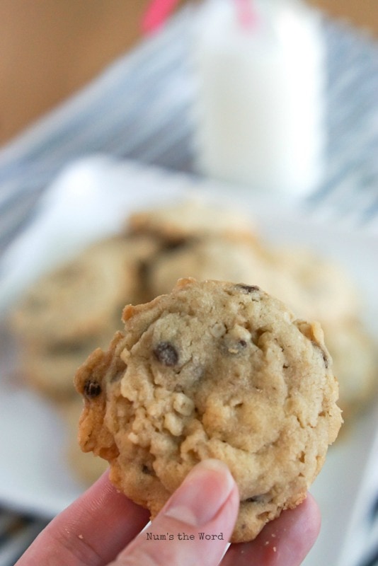 Krispy Coconut Oatmeal Cookies - hand holding a cookie to show size and texture.