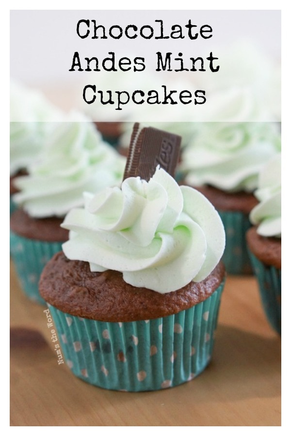 Andes Mint Cupcakes - Main image for recipe of cupcake close up.