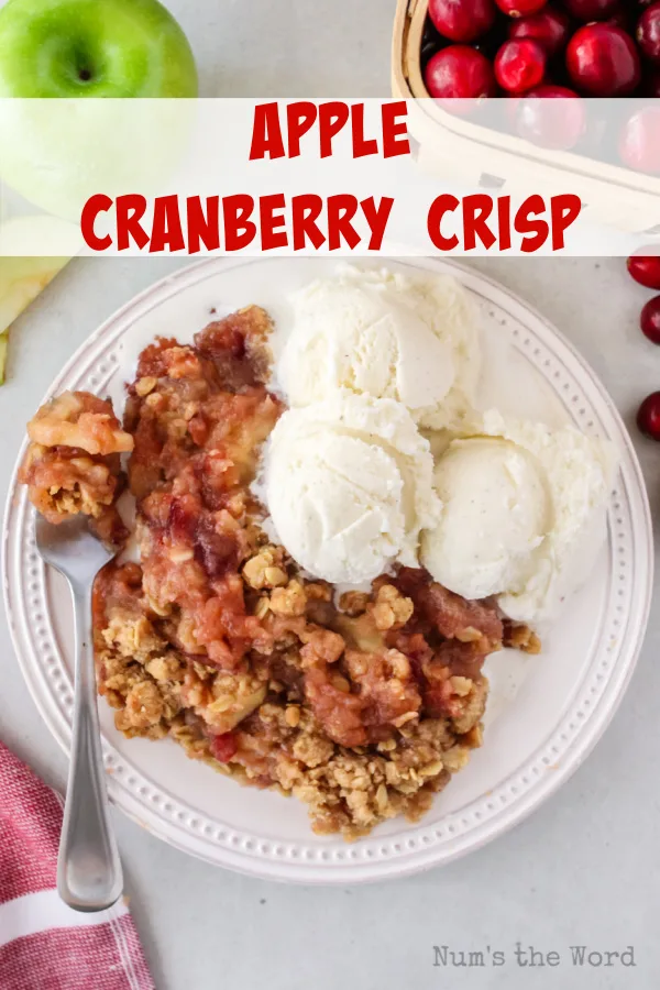 Main image for recipe of apple cranberry crisp on a plate with three scoops of ice cream on top.