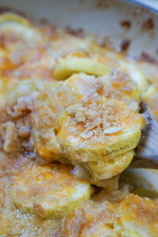 Yellow Squash Casserole - Num's the Word