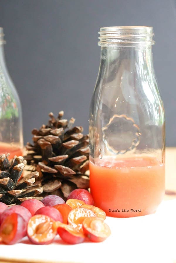 Wild Plum Spritzer