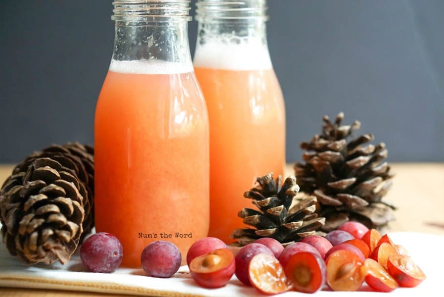 Wild Plum Spritzer