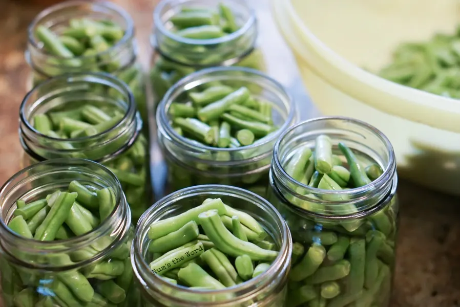 green beans cut and in jars
