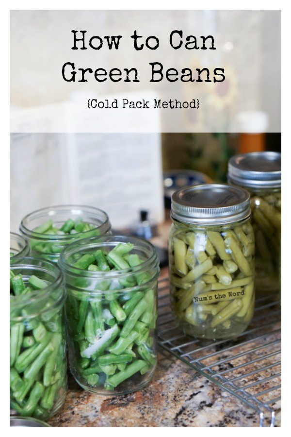 main image for recipe of how to can green beans
