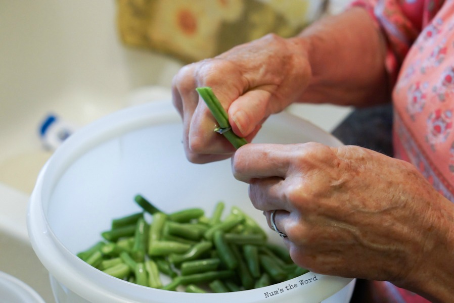 hands cutting green beans into bite sized pieces