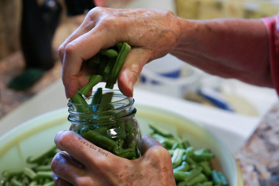 hand filling jar with cut green beans