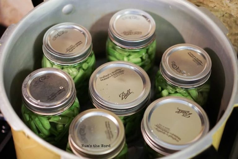 Canning Green Beans Num's the Word
