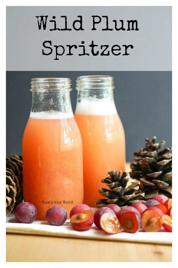 Wild Plum Spritzer