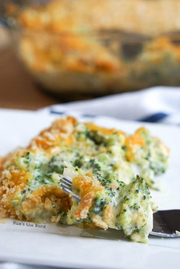 Cheesy Broccoli Casserole - single portion of casserole on a plate with a fork full on plate