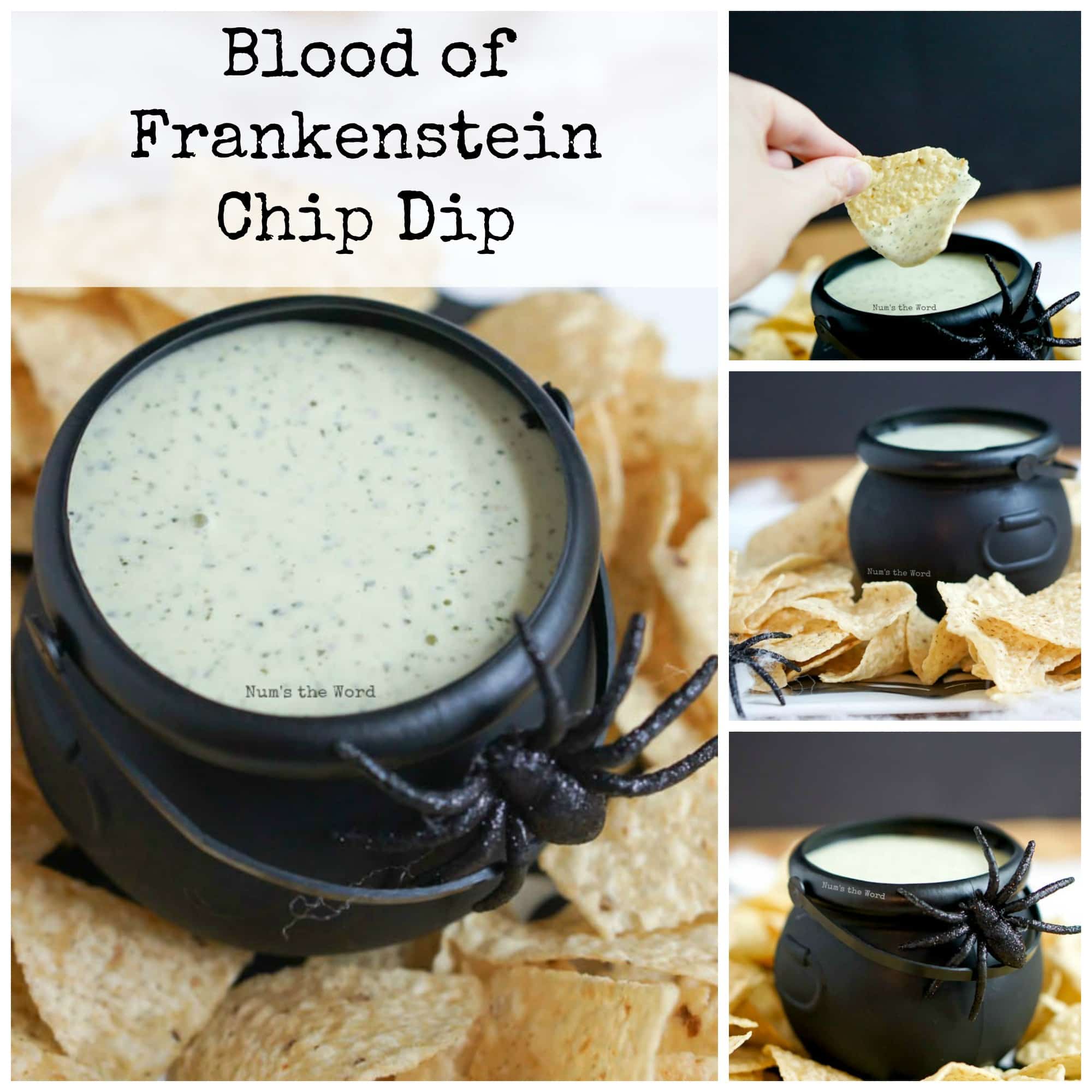 Blood of Frankenstein Chip Dip