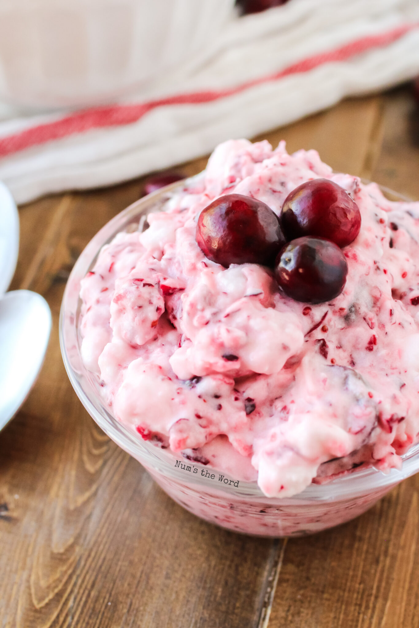 Cranberry Fluff Num's the Word