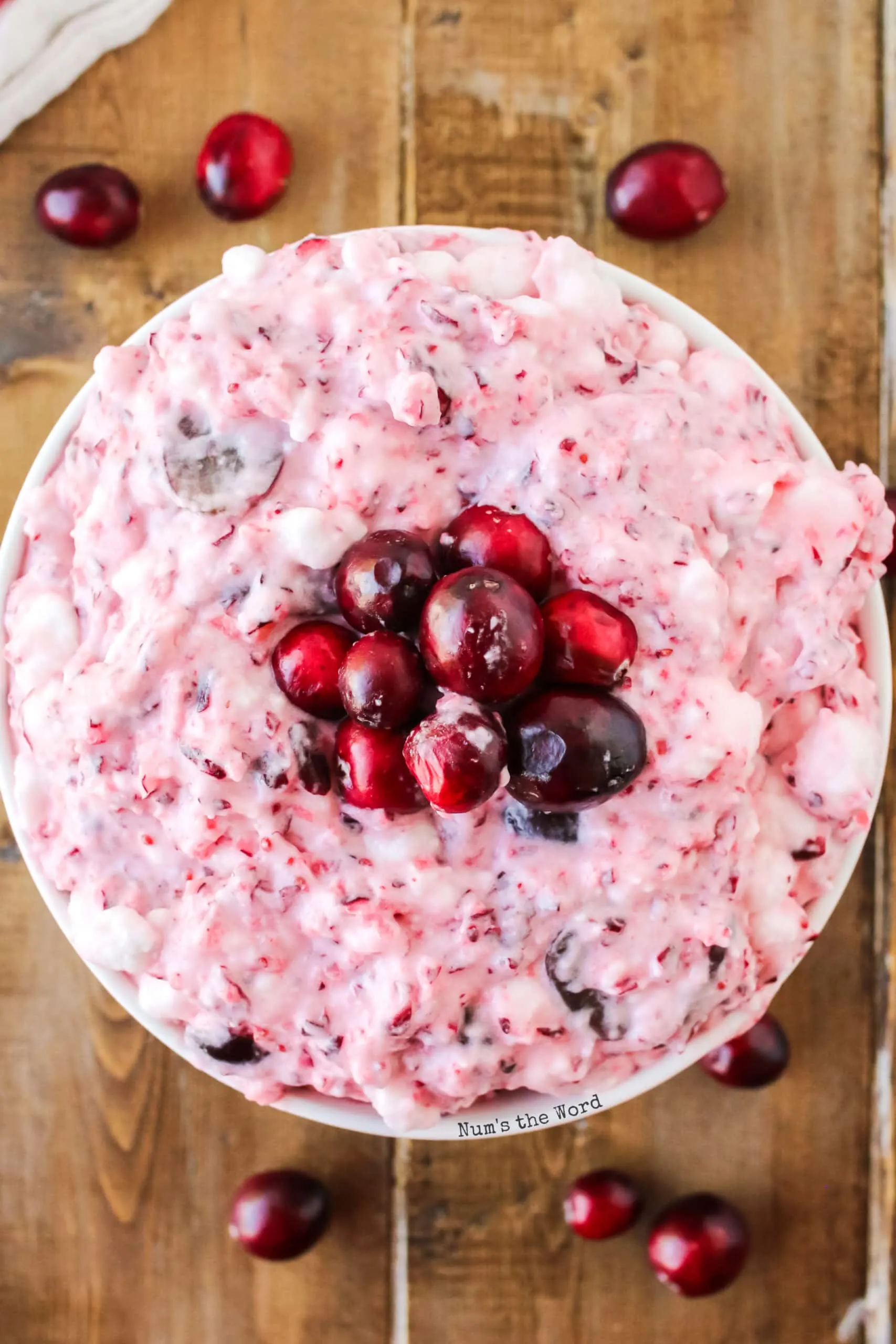 zoomed in view of cranberry fluff in bowl top view