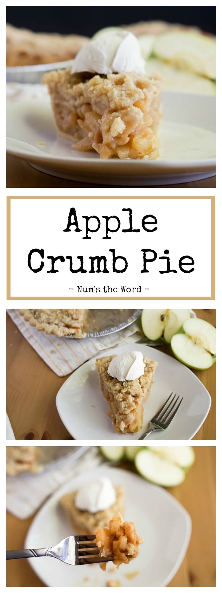 Malwarebytes for mac older version