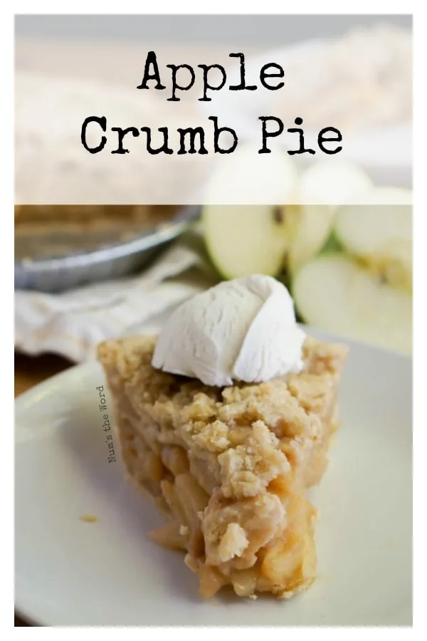 Main image for recipe of pie on a plate.