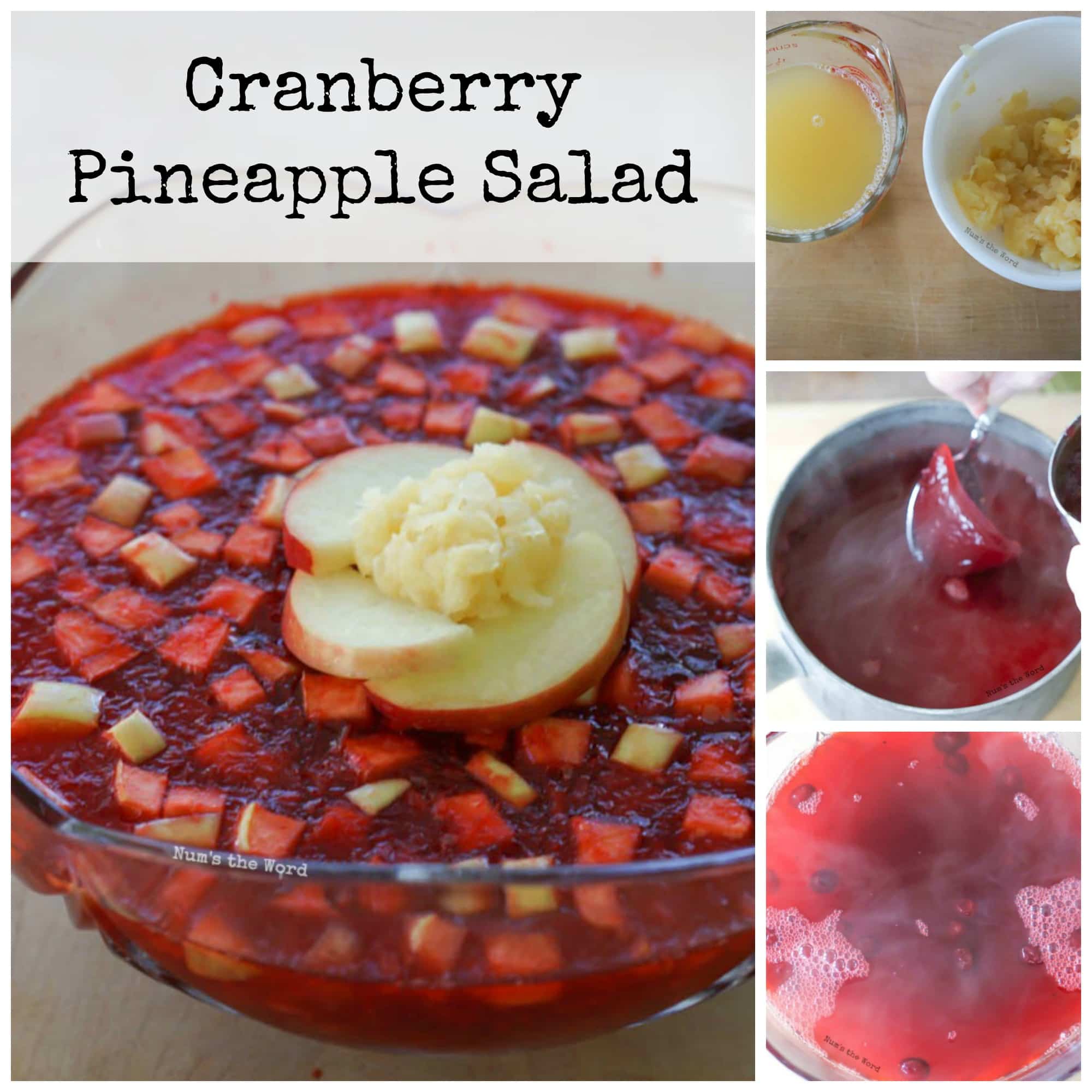 Cranberry Jello Salad - Dinner at the Zoo