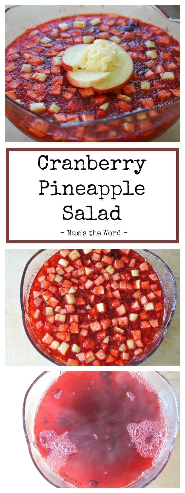 Cranberry Jello Salad [Thanksgiving Side Dish] - Num's the Word