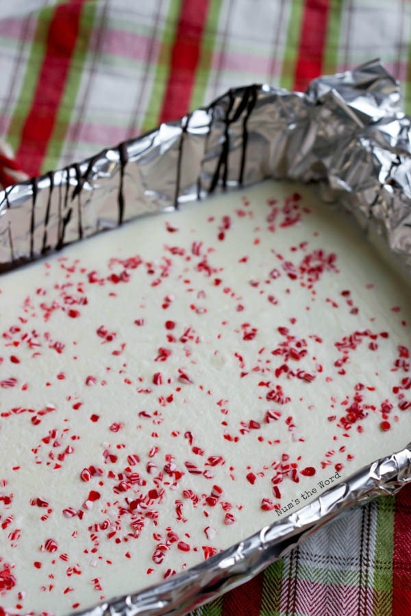 Homemade Peppermint Bark - white chocolate poured on top of dark chocolate & sprinkled with candy bits.