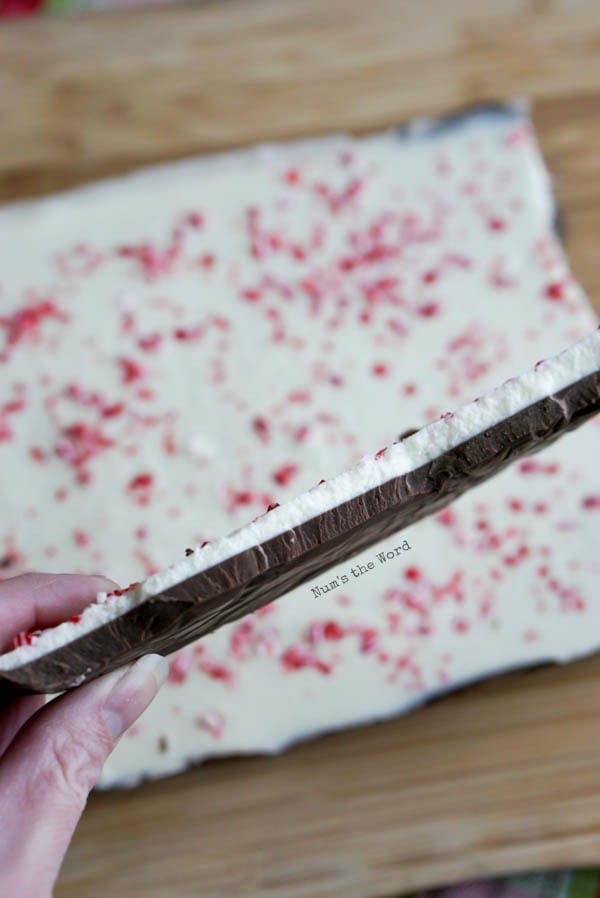 Homemade Peppermint Bark - large piece broken off of peppermint bark slab and held up to camera.