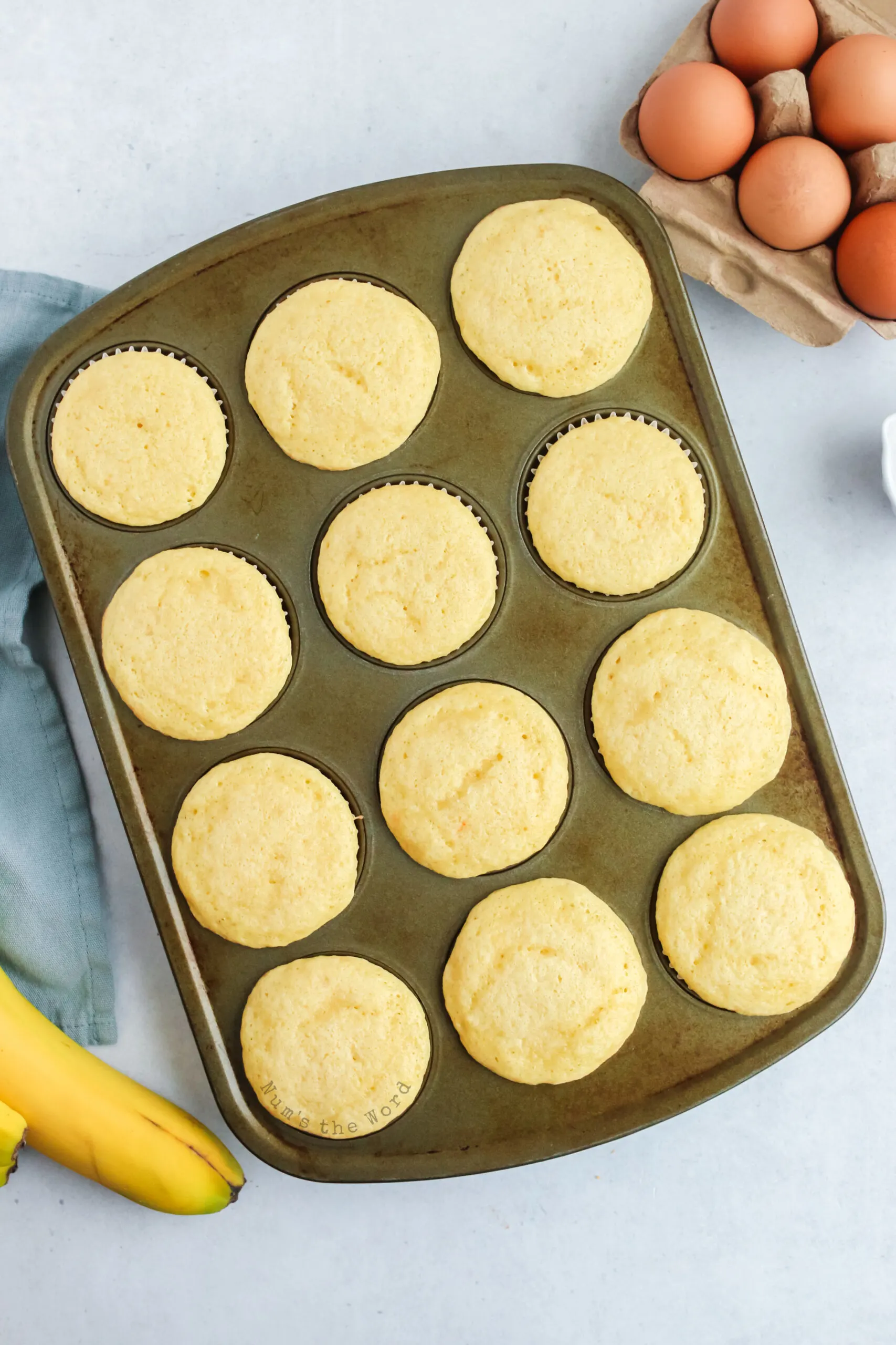 fresh from the oven cupcakes, ready to be filled.