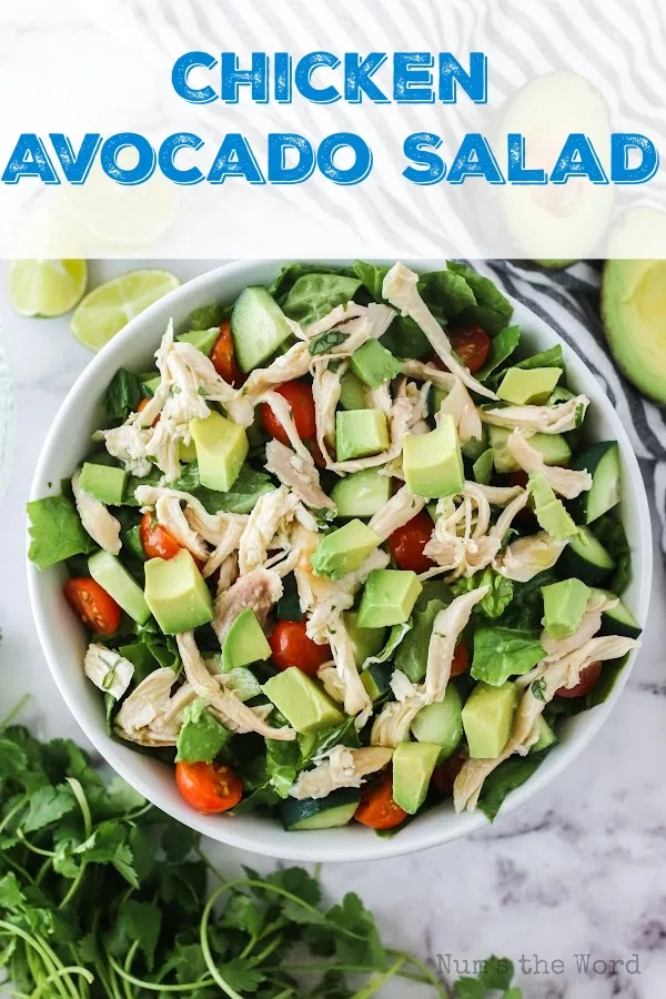 Main image for Chicken Avocado Salad