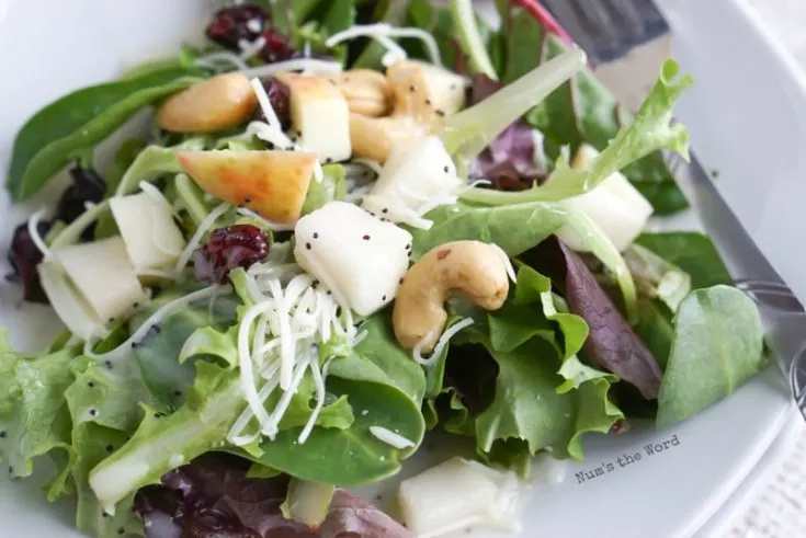 Winter Fruit & Cashew Salad - zoomed in image with dressing on.