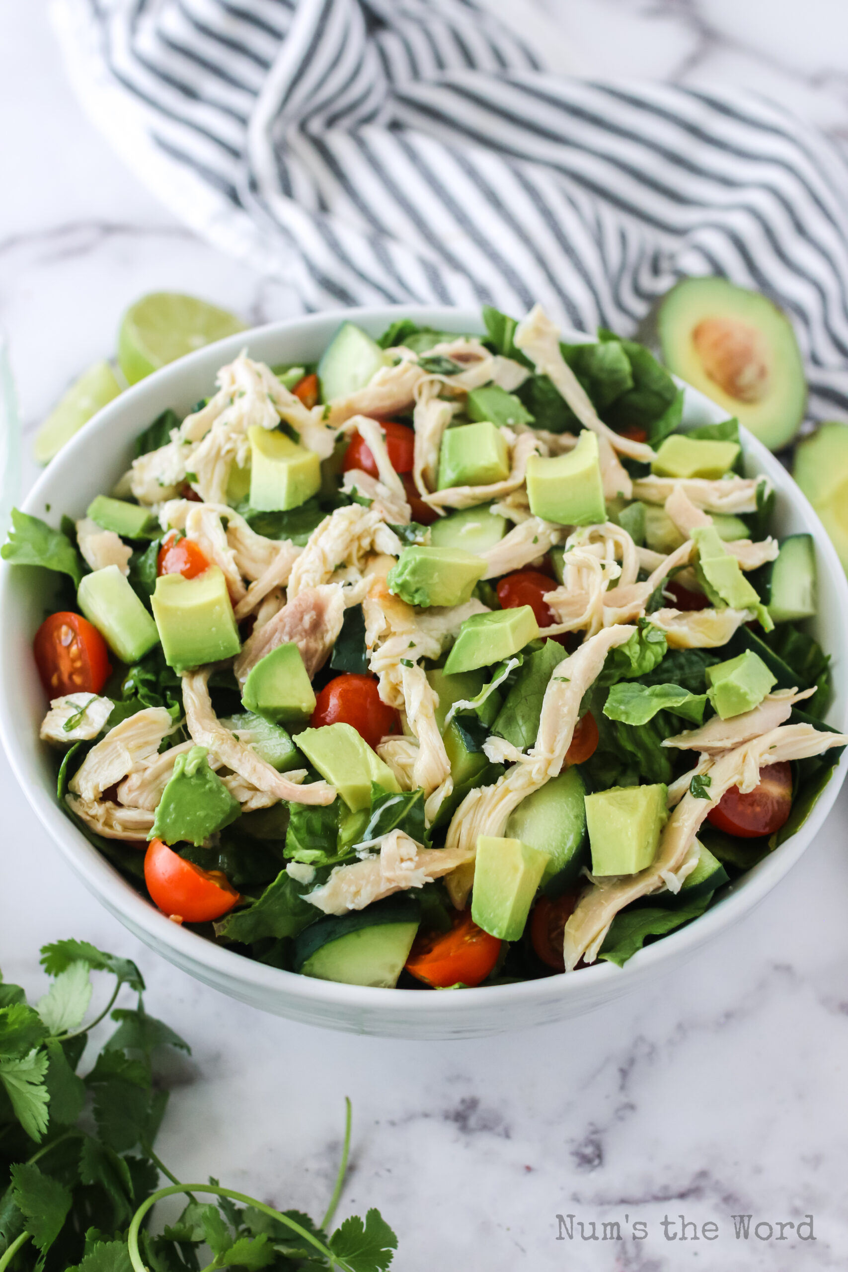 side angle view of chicken avocado salad fully dressed with chicken and avocados