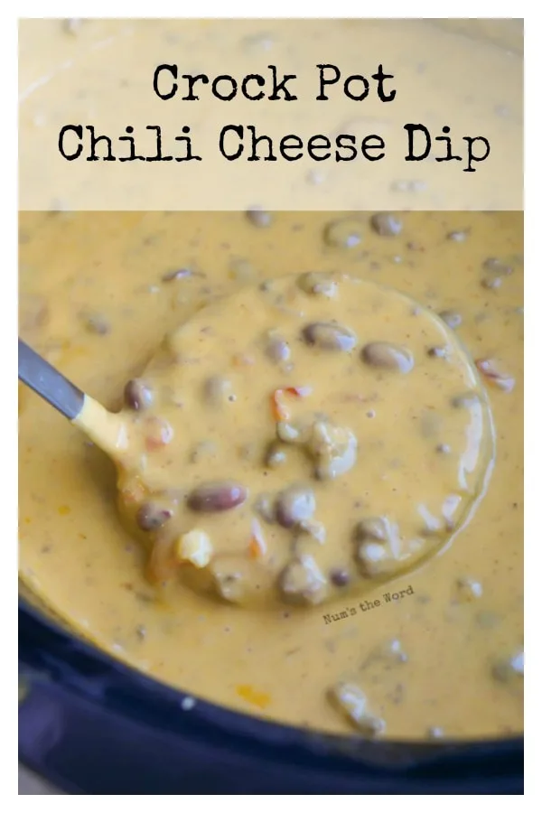 https://numstheword.com/wp-content/uploads/2019/01/chili-cheese-dip-reg.jpg.webp